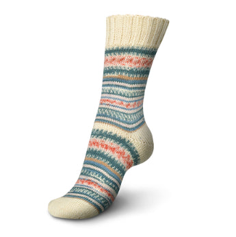 Regia Design Line 4-ply by Arne & Carlos - Schachenmayr