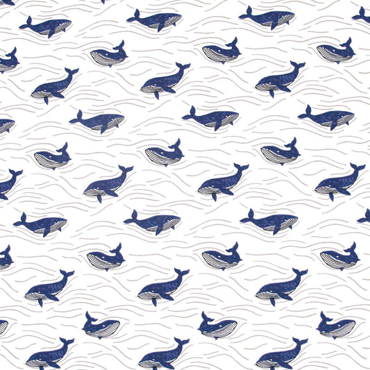 Jersey Ballenas ~ Katia